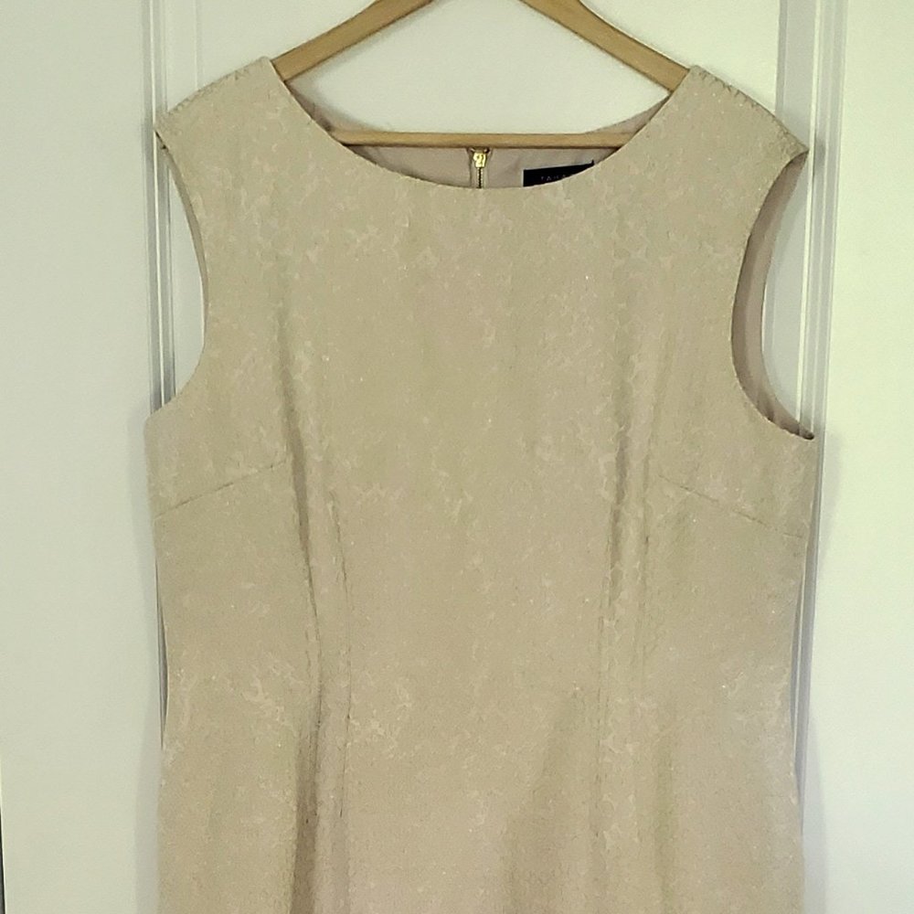 Tahari Cream & Gold Dress